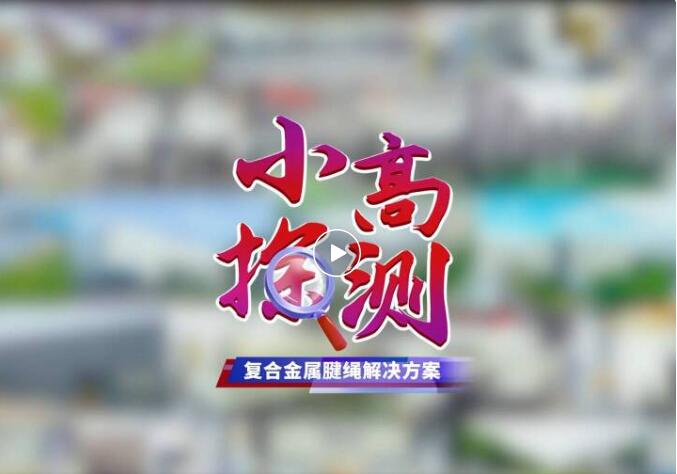 小高带您揭秘高测股份复合金属腱绳解决方案